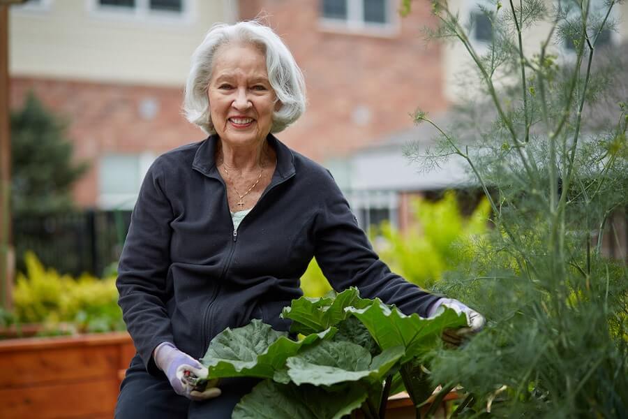 senior woman gardening