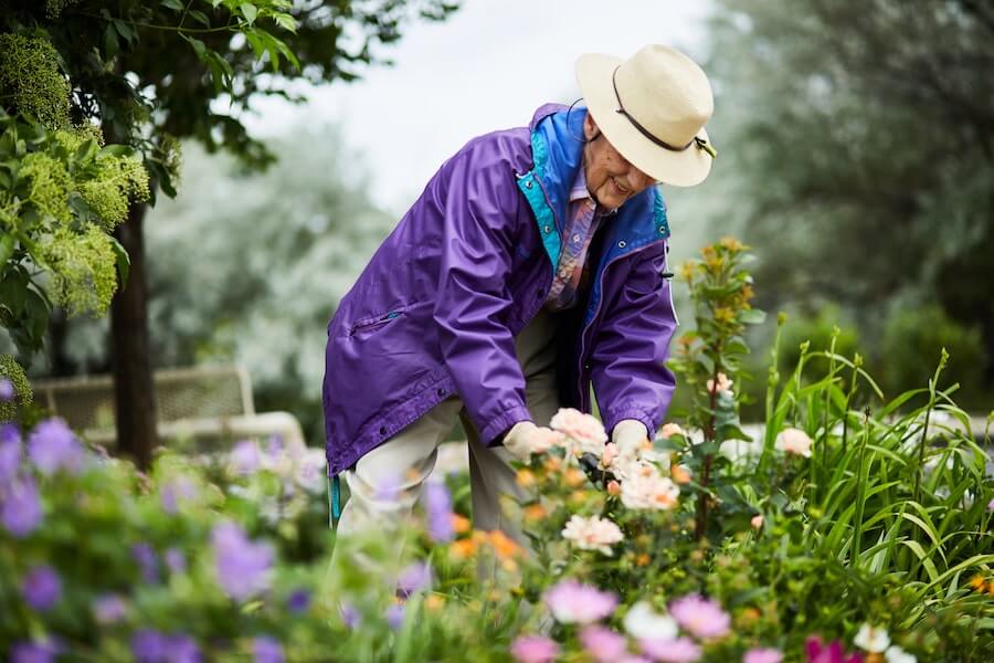 senior woman gardening flowers